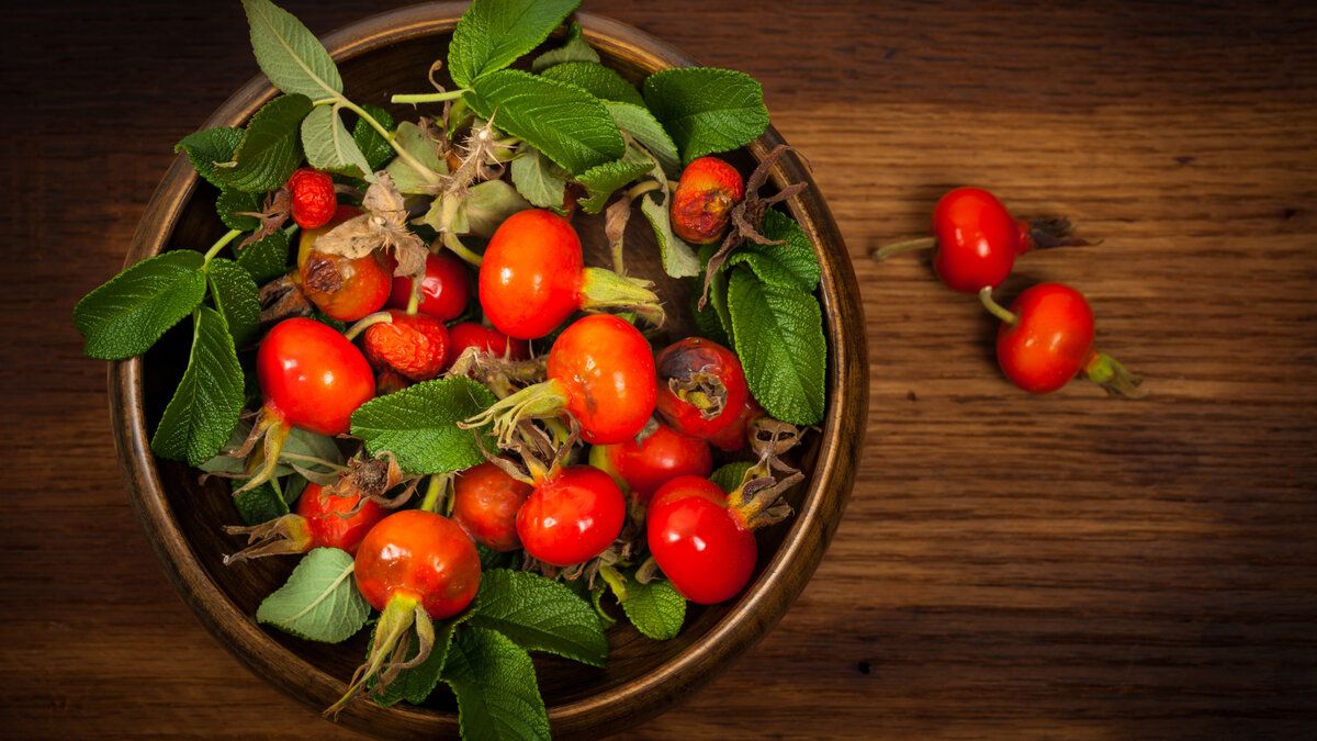 ��������: ���� � ���������� ������ ��� ��������