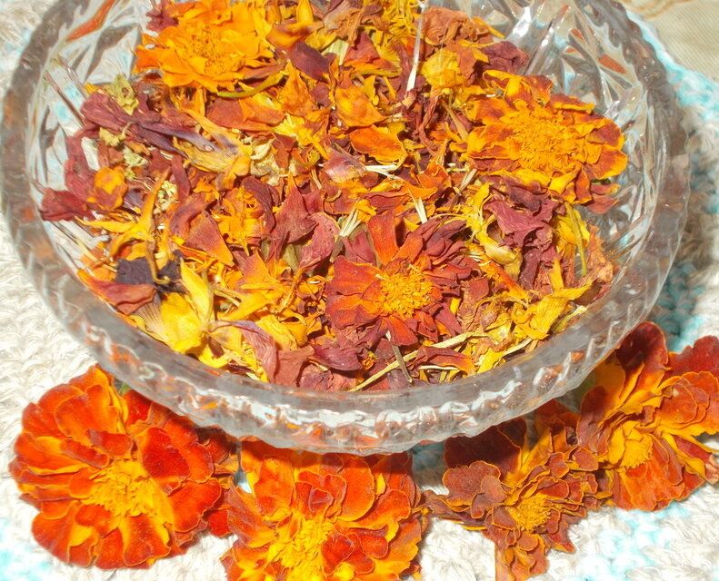 ����� �������� ������: ��������, ��������� � ��������� ��� ��������