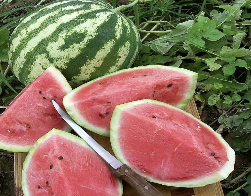 ��� ������� ������� � ���������� �����