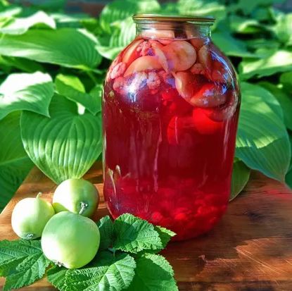 ��� ����������� ��������� �������-�������� ������ �� ����