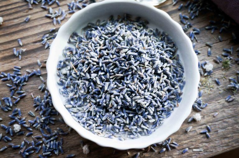 �������: ���������� ���������� ���� � ����� �����