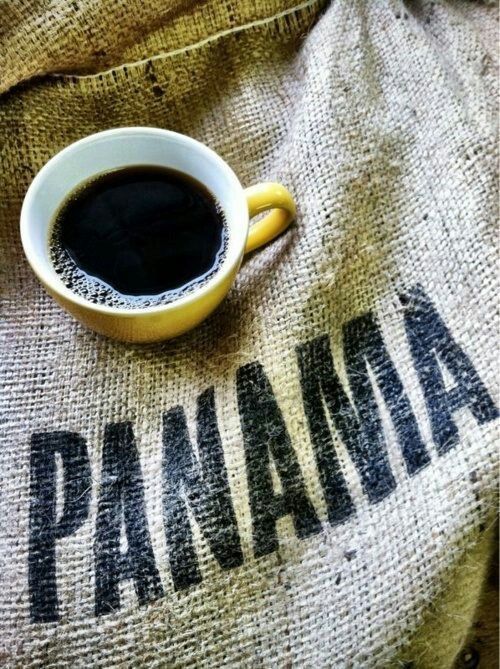 ���� �� ������: ������ ��� ����������� ���������� �������� ��������