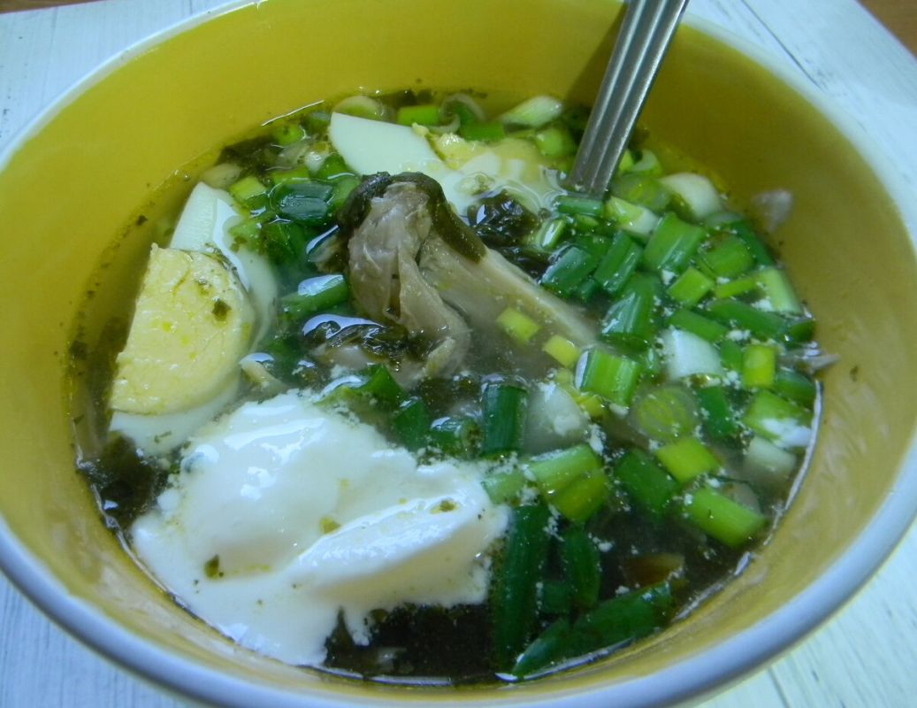 ������� ����: �������� ����������� �� ����� �����