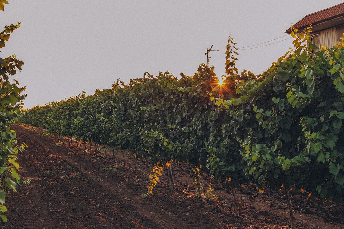 ���� � ����������: ��� ����� ��������� ����������� ������