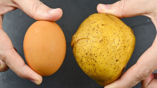 ���������� ������� ������: �����������-������ �������, ������� ������� ���� �����