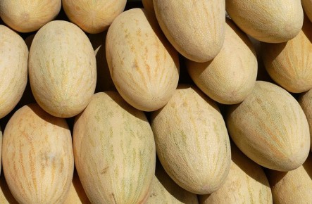 � ������ ������� ������� ��������: ������� � ����� � ������ � �����