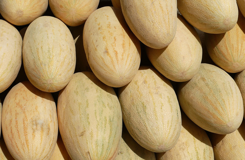 В Гомеле выявили опасные продукты: нитраты в дынях и кадмий в халве