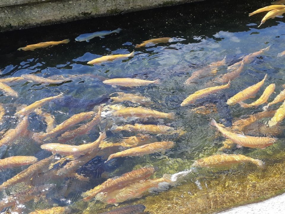 ����� �� ���� � ������ ��������� ���������� �����