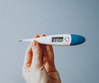 ������� ���� � ��������, ������� ����� ��������