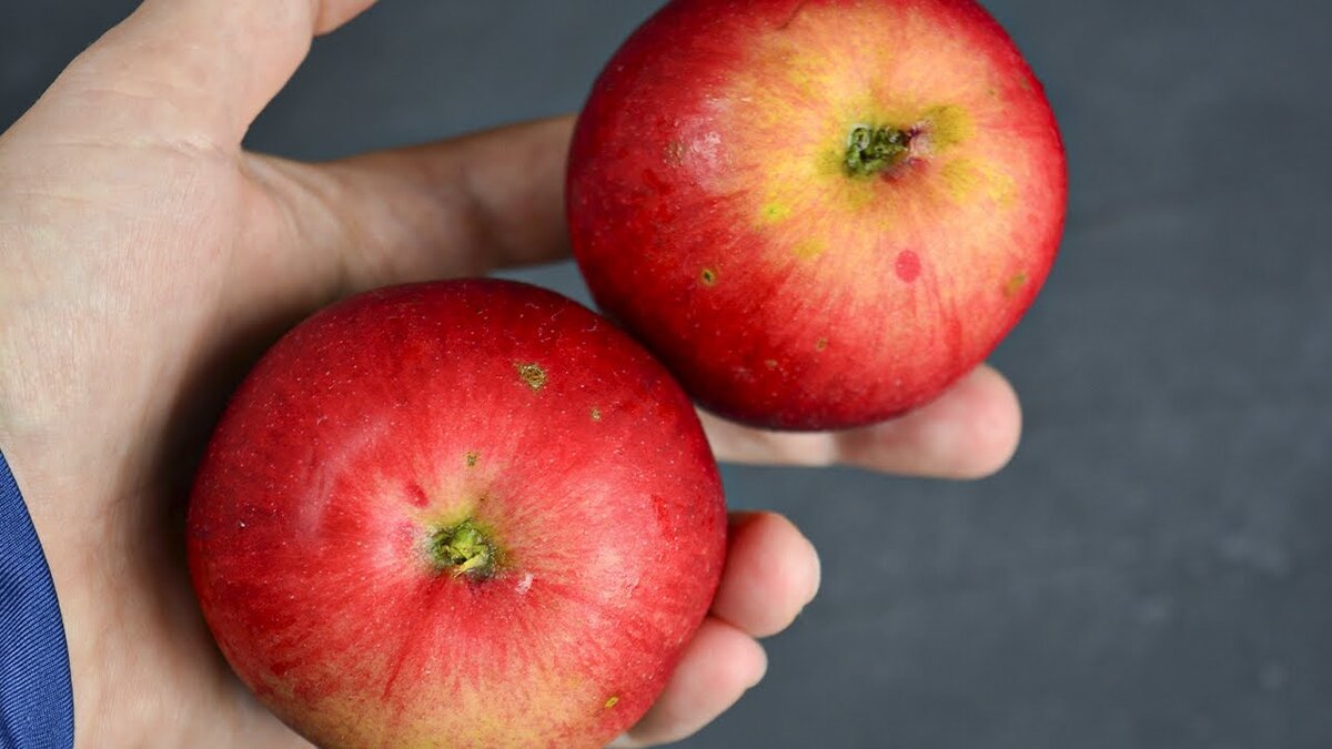 Нежные десерты из яблок: три рецепта для вашего чая