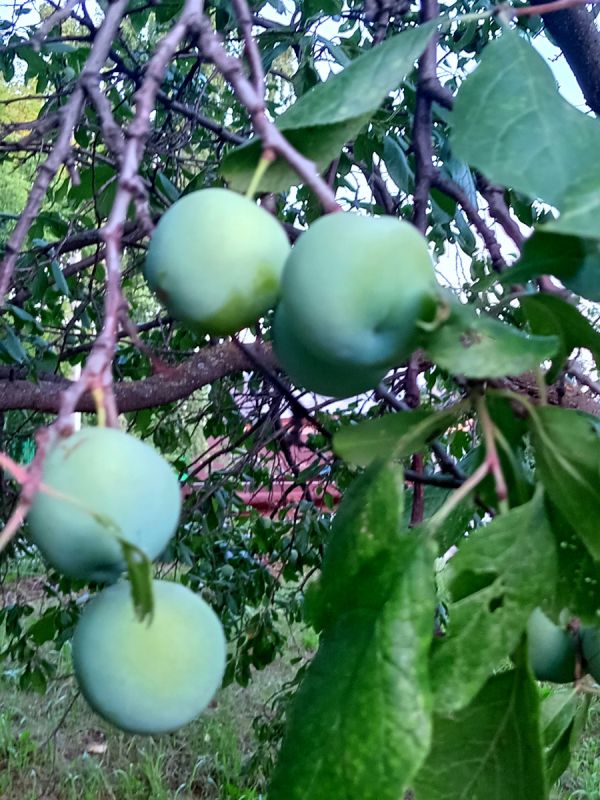 ����� �� �����? ����� ���� �������� ����� ������� �����