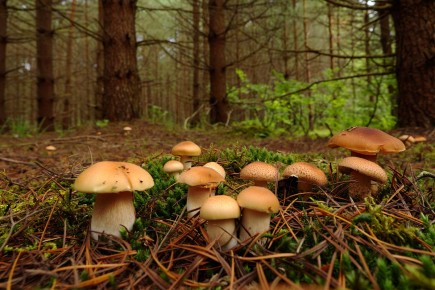 ����� ��� �������: ��� ��������� ��� ������������ � �������� 2026 ����