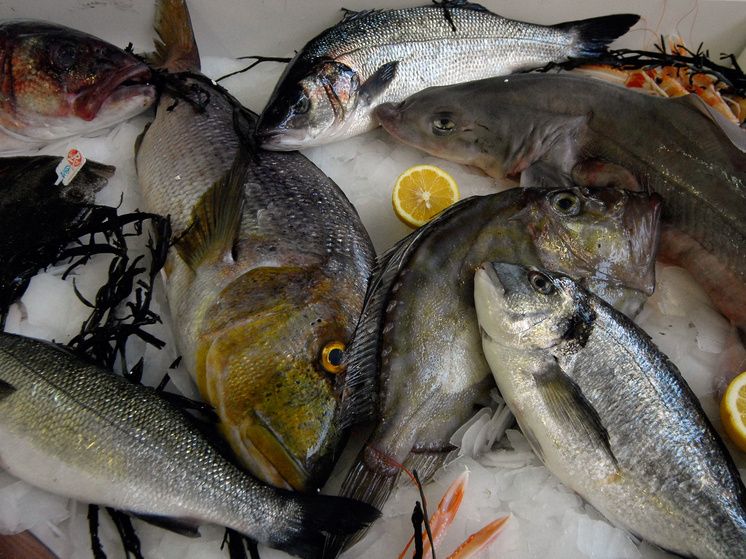 ��� ������� ������������ ������ ������������� � ��������