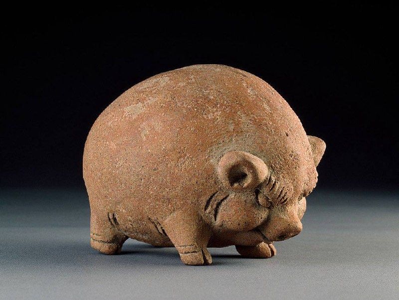 ��������� ������������ � ����������� ����