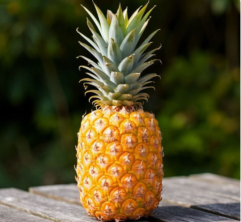 ������: ������ ������� � ��������� ���� ������������� �����a