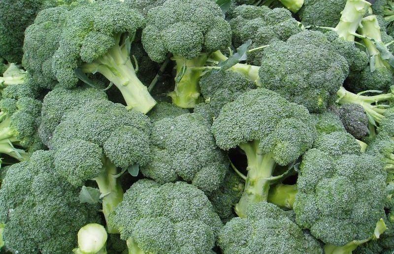 ����� ������ ������ �������� ��� ������ �������