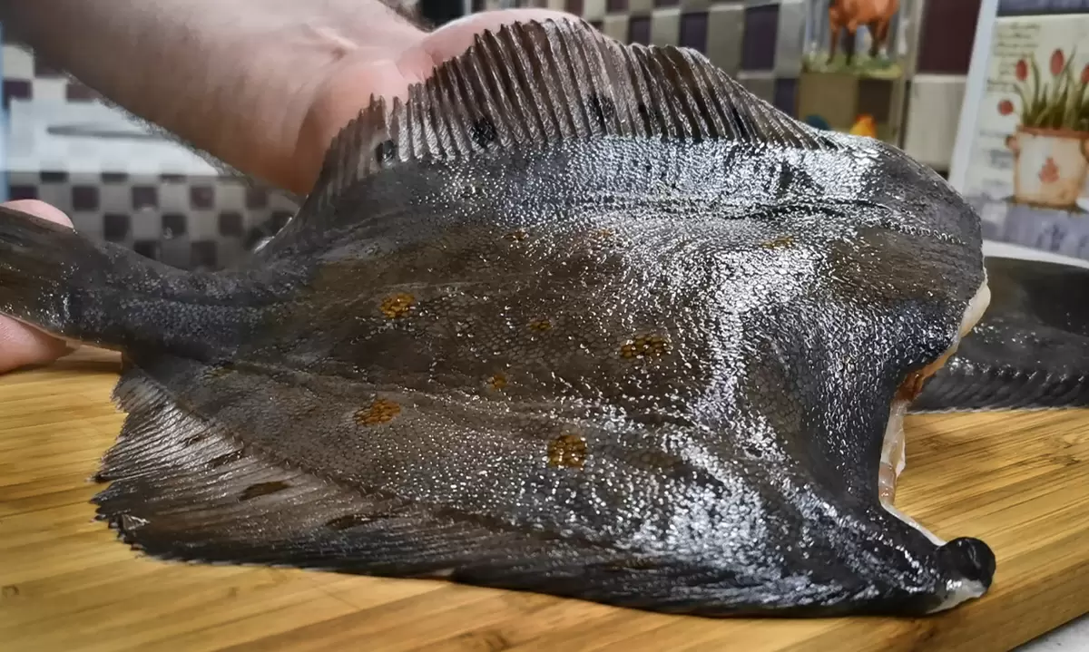 Невероятный рецепт камбалы от дальневосточных моряков
