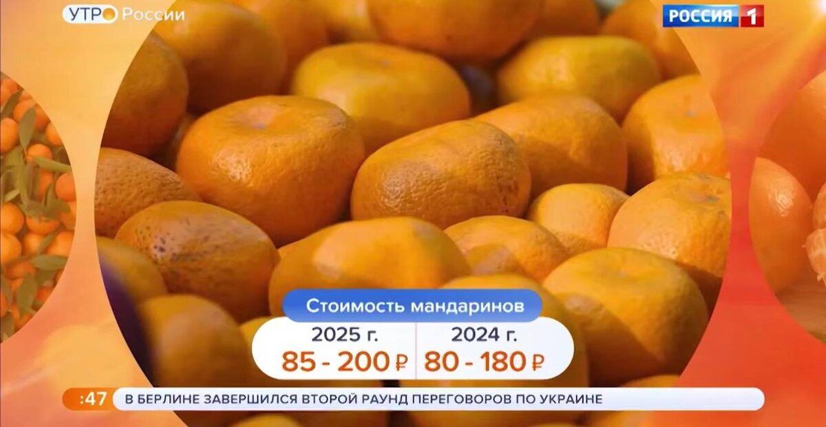 ��������� � ���������� ����������: ����� ���� ����� � �������