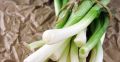 Как сохранить зеленый лук свежим до двух месяцев