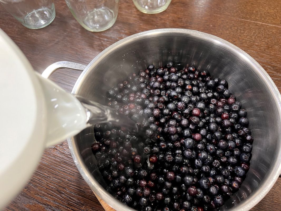 ������������ ������: ������ ������ ��������� ���� �� ����