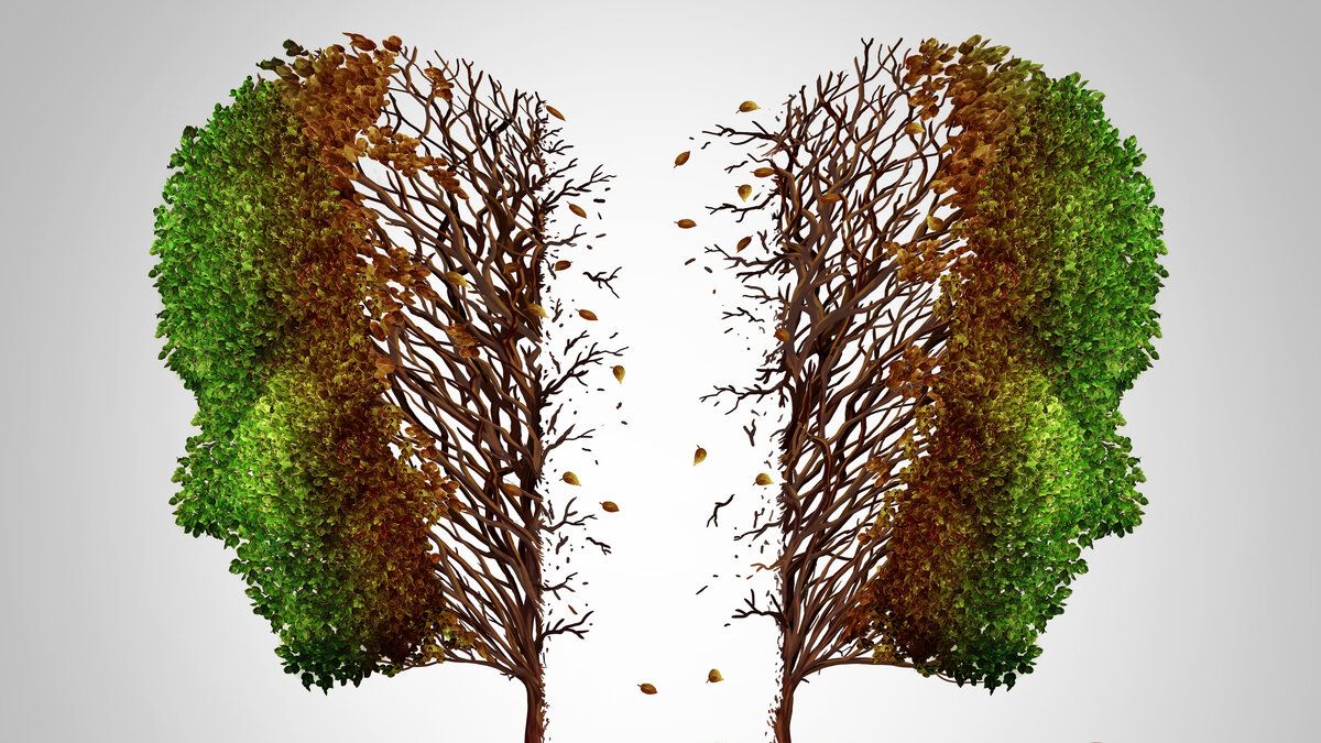 ��� ��������� � ��������� ��������� ���� �����