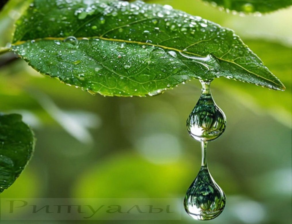 ������� �������: ��� ��������� ���� ��� �������� � ������������