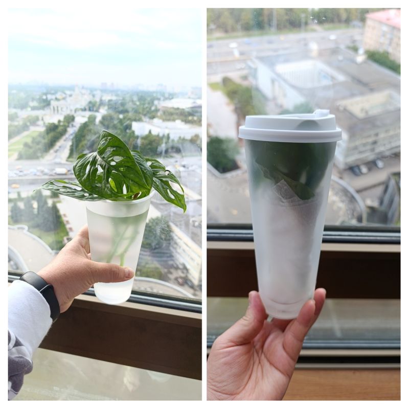 ��� ������������ ���������: �������� ������ � ���������������� �����������