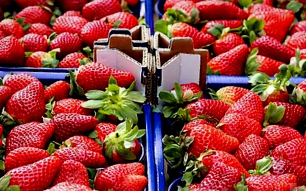 ����� � ��������: ������ ��������� ��� �������� ������