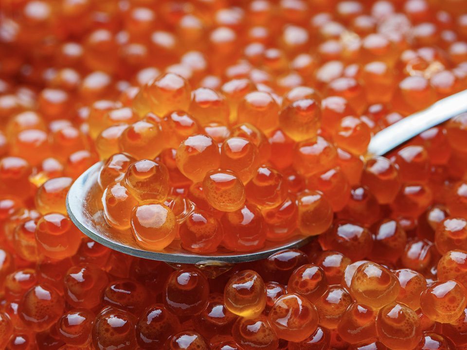 ��� ��������� ������� ������� ����: ������ �� ���������