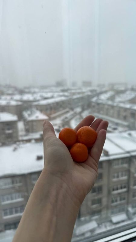 ��������� ����������: ��� ������� �������� ���������������?