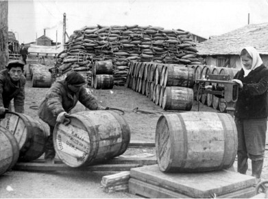 ��� ������ �� ��� ��� ����� ���� ������� ����������: ����� ������� �������� �������