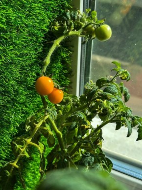 ������������� ���������� �������: ��� ���������� � ���������