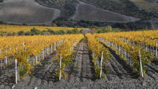 �������� ������������ ��� � ������: ����� ������ �� ���?