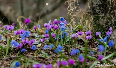 ����� � ������: ����� ����������, �������� � �������� �����