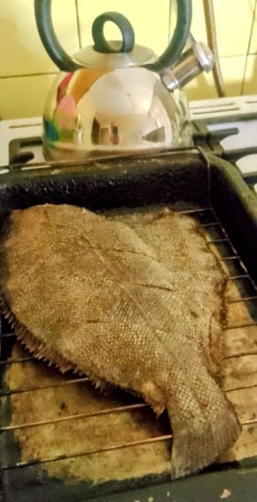 ������� �� �����: ������, ������ � ����� ������