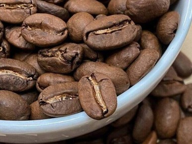 ����: ���������� ����� � ������� �������