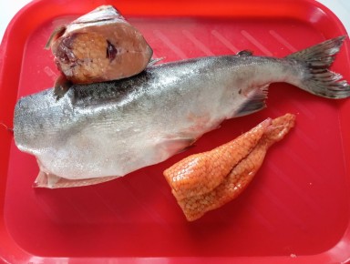 ��� ����� ������ ����: ������� ������ � �������������