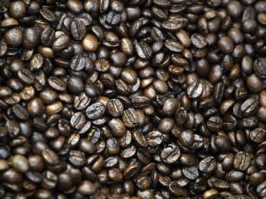 ������� ���� ������������ ���������: ������� 2026 � ������