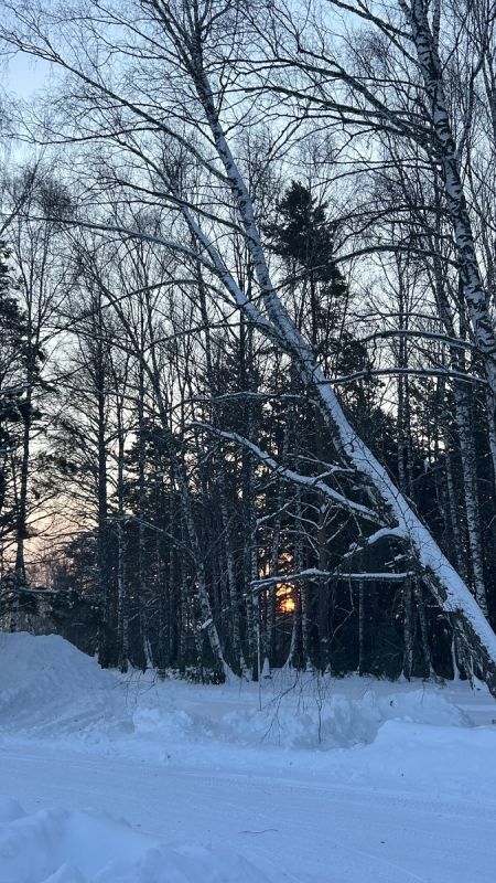 Забавные каникулы: от блинов до катка