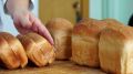 Возвращение хлеба: Усть-Лабинский район снова с продуктами первой необходимости